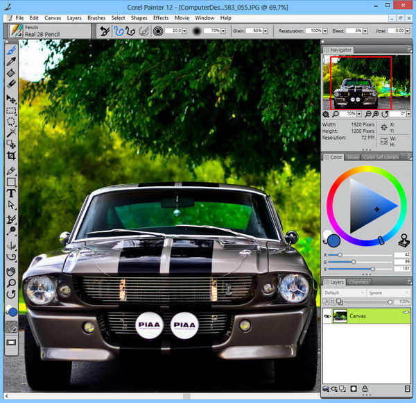 Corel Painter