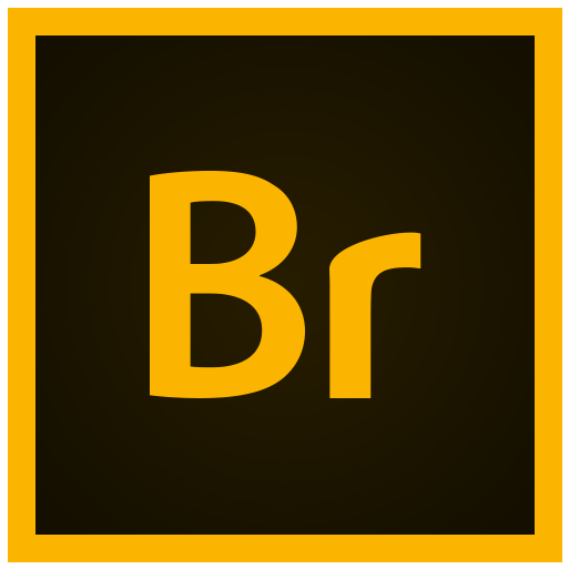 Adobe Bridge 2022