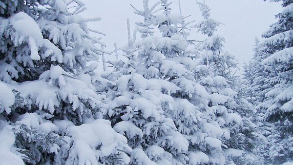 New Mixed HD Wallpapers Pack 349