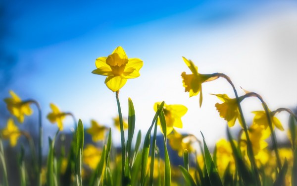 New Mixed HD Wallpapers Pack 242