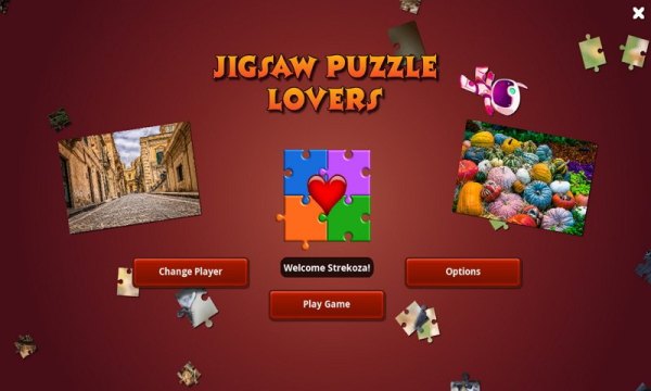 Jigsaw Puzzle Lovers