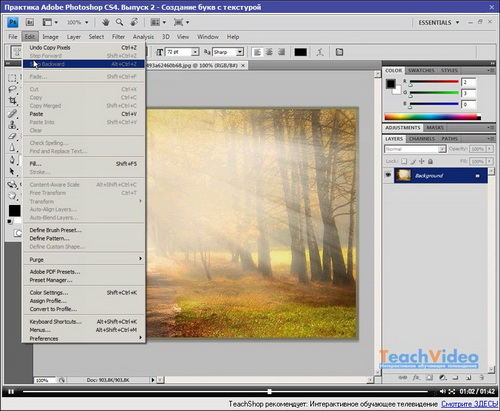 Adobe Photoshop. Практические уроки. Видеокурс