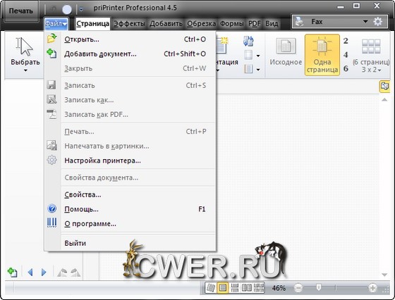 priPrinter Professional 4.5