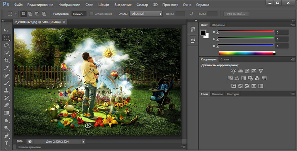 Adobe Photoshop CS6