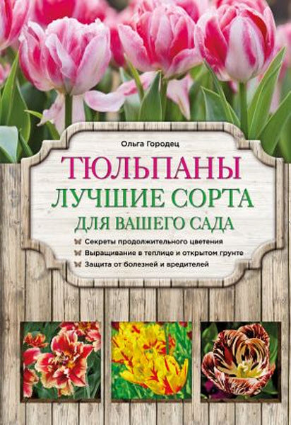 Ольга Городец. Тюльпаны. Лучшие сорта для вашего сада