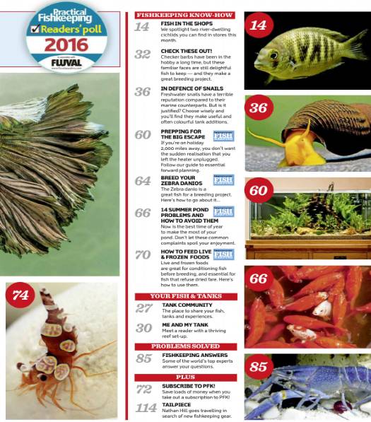 Practical Fishkeeping №9 (August 2016)с1